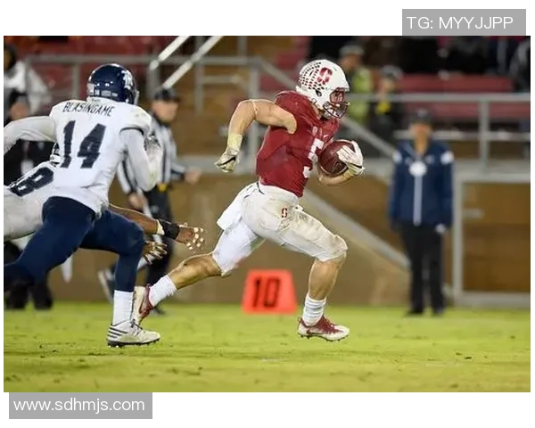 黑豹足球巨星传奇人生与赛场辉煌成就全景深度解析